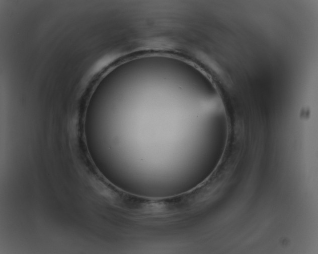 X0000096691315200802051336