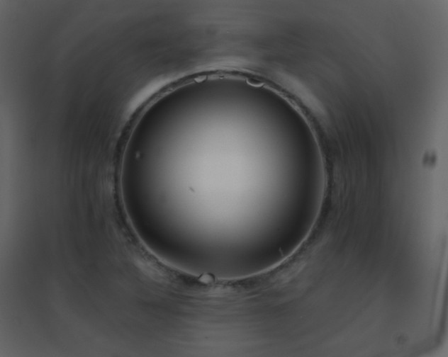 X0000096691316200802051336