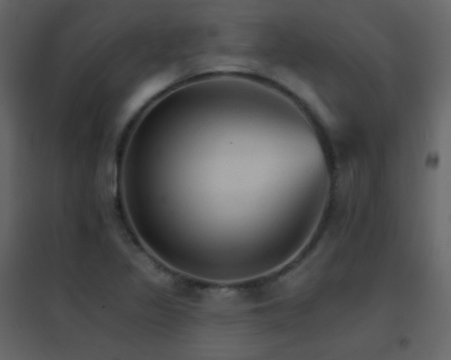 X0000096691317200802051336