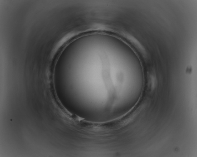 X0000096691318200802051336