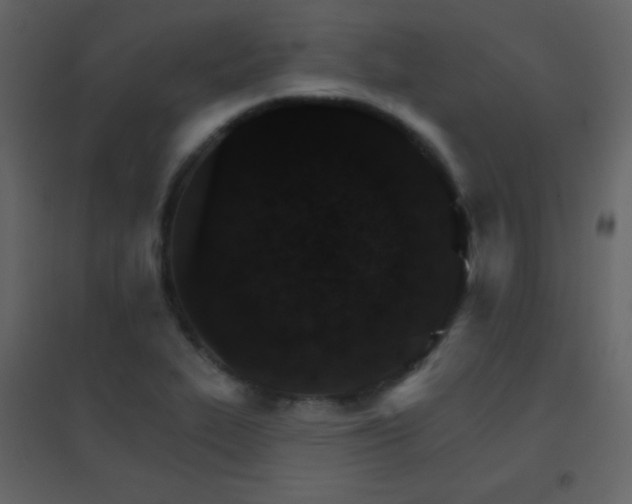 X0000096691319200802051336