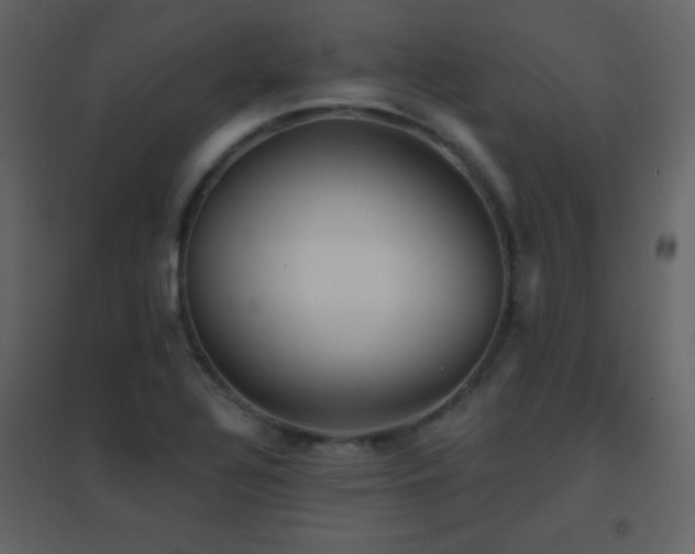 X0000096691320200802051336