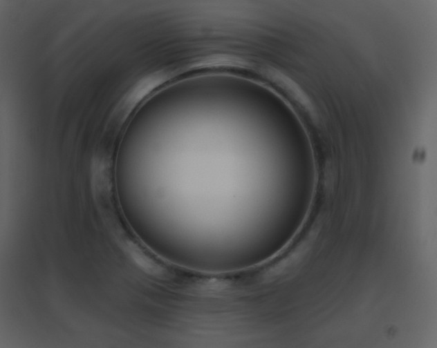 X0000096691321200802051336