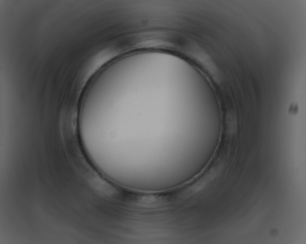 X0000096691322200802051336
