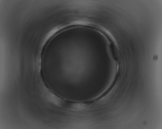 X0000096691323200802051336