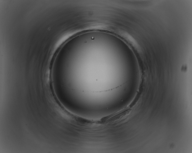 X0000096691324200802051336