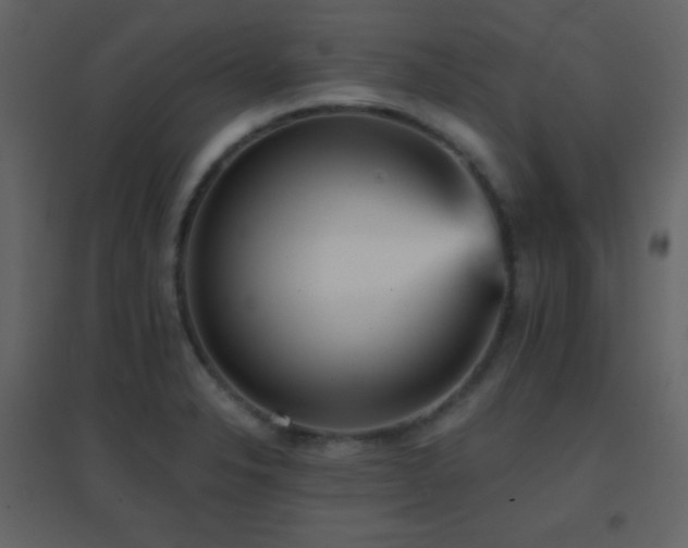 X0000096691326200802051336