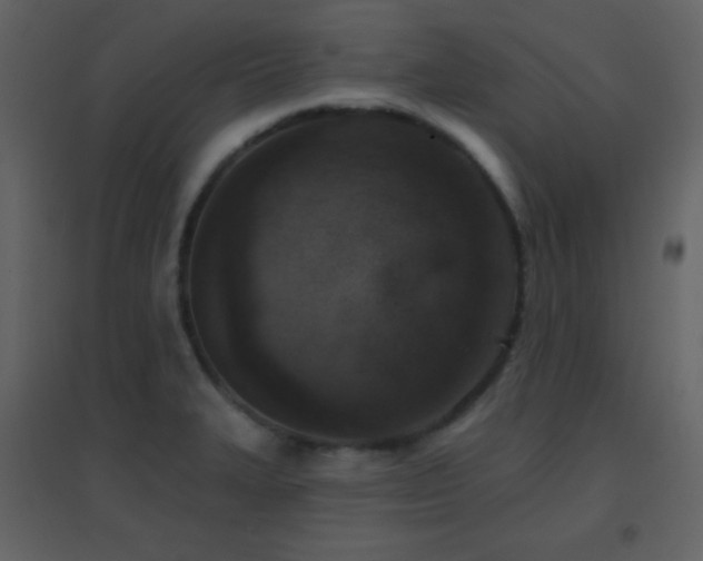 X0000096691327200802051336