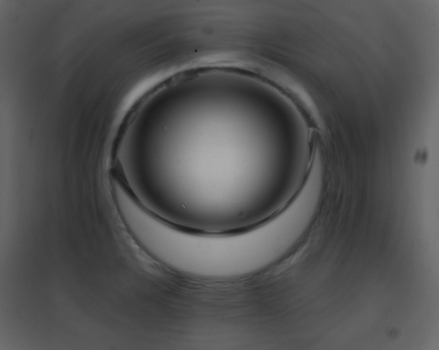 X0000096691328200802051336