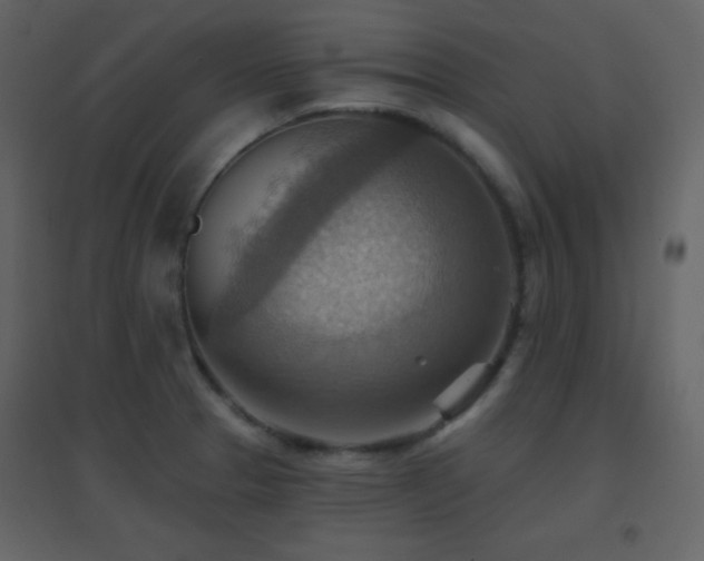 X0000096691329200802051336