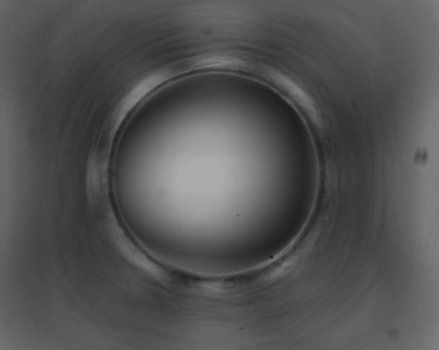 X0000096691330200802051336