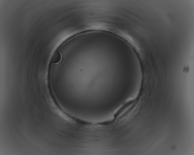 X0000096691331200802051336