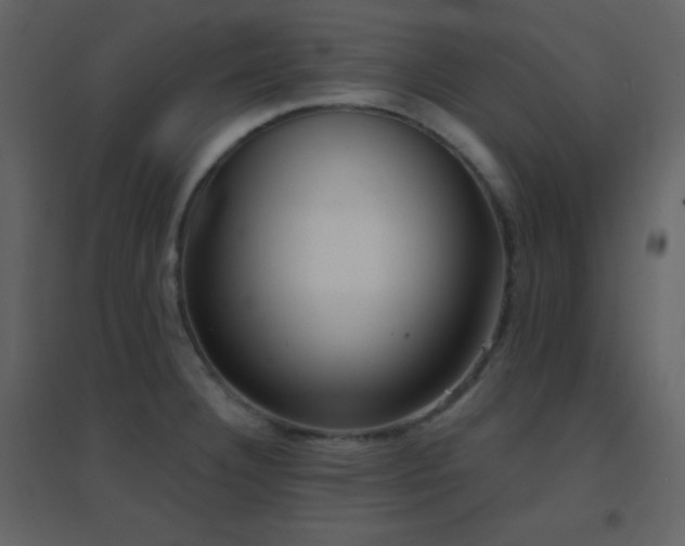 X0000096691332200802051337