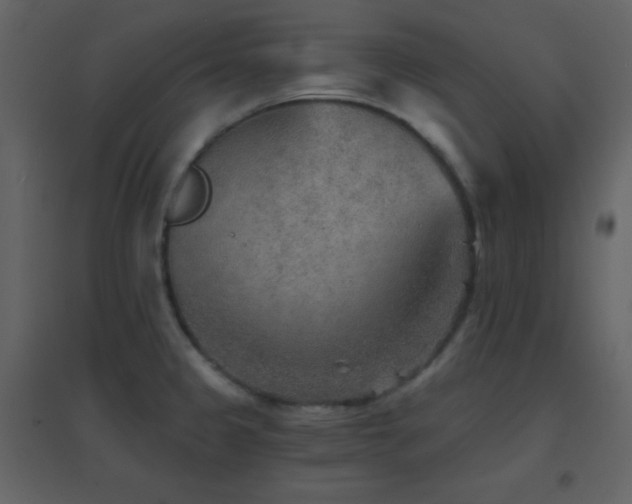 X0000096691333200802051337