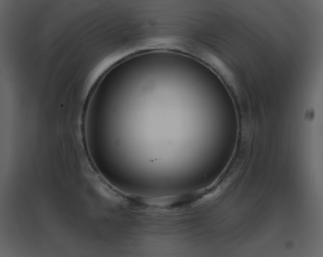X0000096691336200802051337