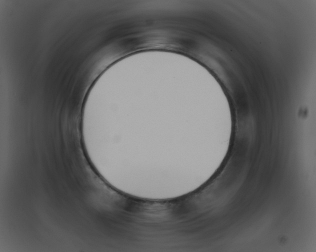 X0000096691338200802051337