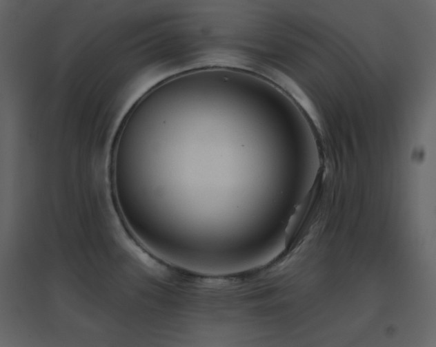 X0000096691339200802051337