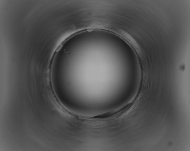 X0000096691340200802051337