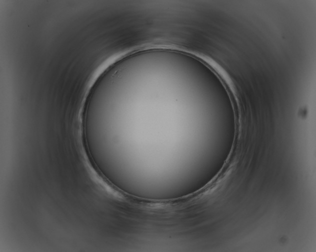 X0000096691341200802051337