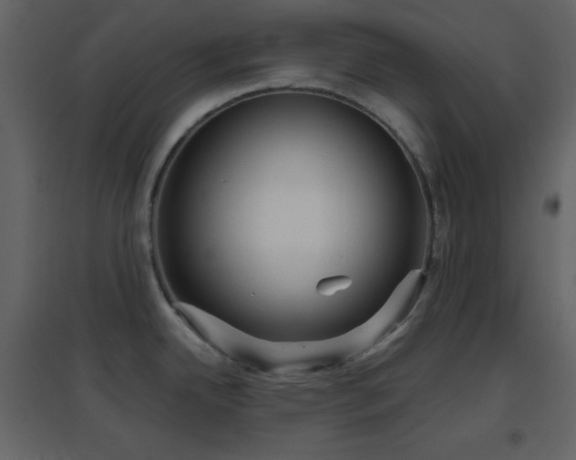 X0000096691342200802051337