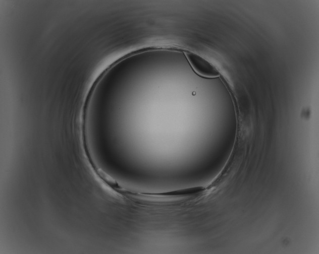 X0000096691343200802051337