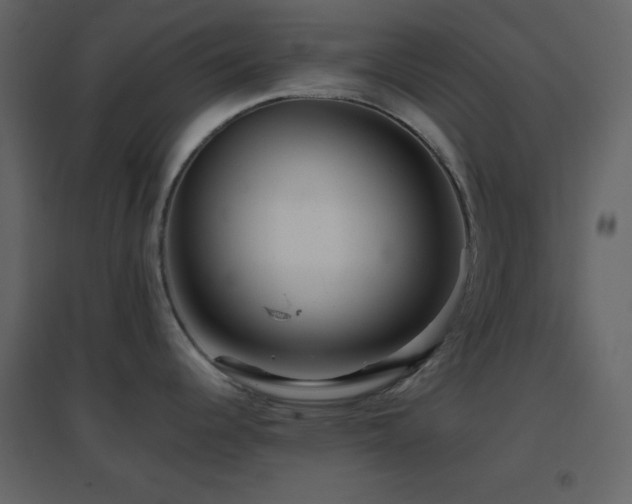 X0000096691344200802051337
