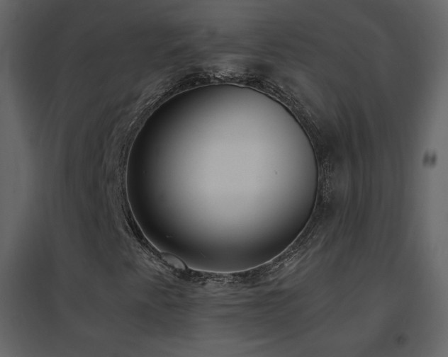 X0000096691345200802051336