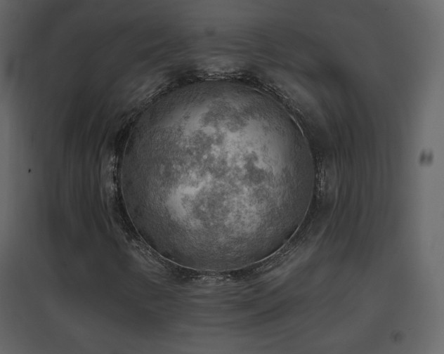 X0000096691346200802051336