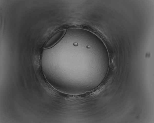 X0000096691348200802051336