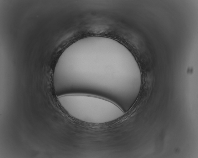 X0000096691349200802051336
