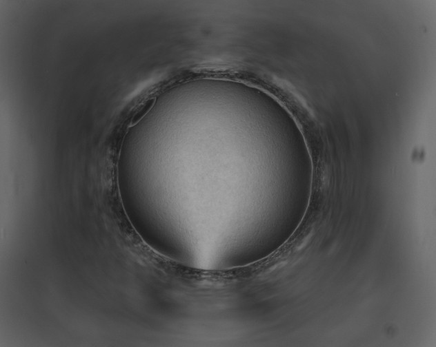 X0000096691350200802051336