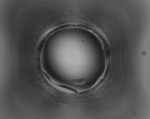 X0000096691352200802051336