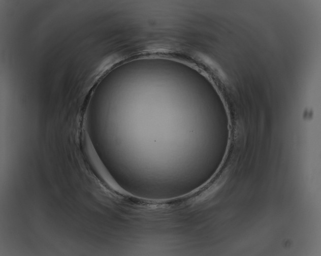 X0000096691353200802051336