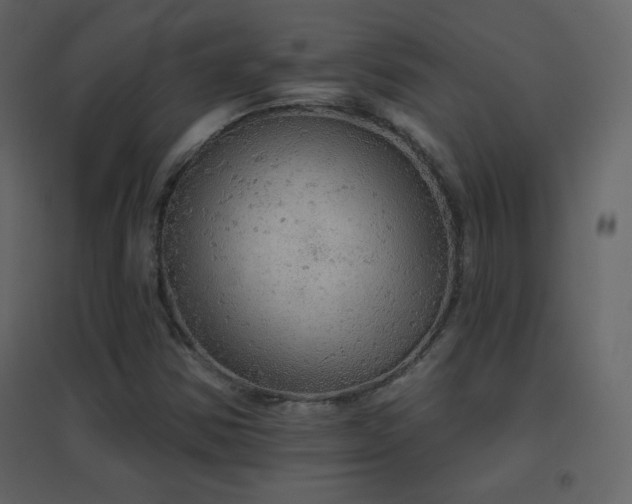 X0000096691354200802051336