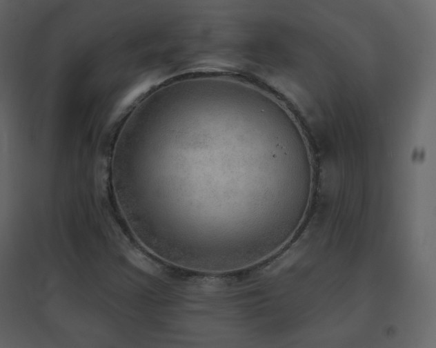 X0000096691355200802051336