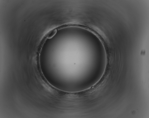 X0000096691356200802051336