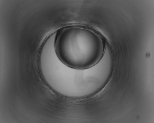 X0000096691357200802051336