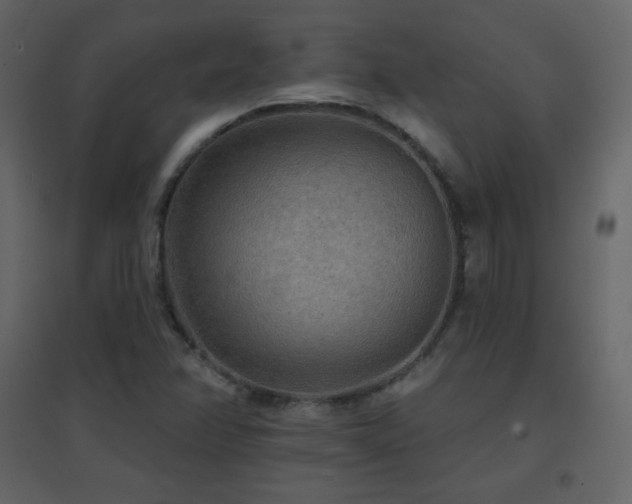 X0000096691358200802051336