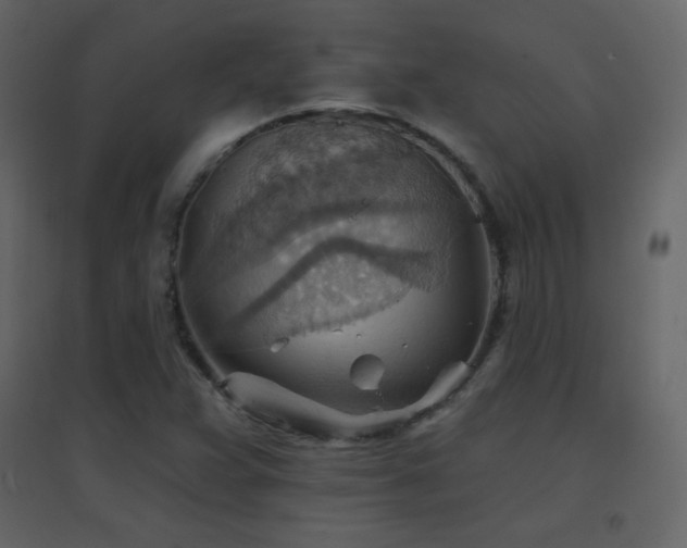 X0000096691359200802051336