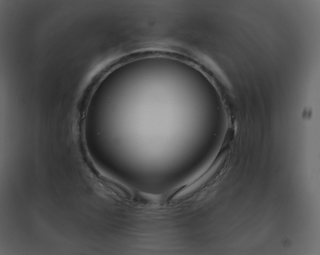 X0000096691360200802051336