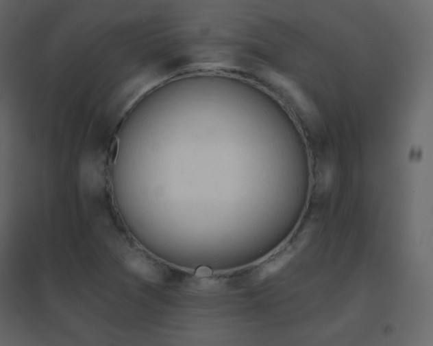 X0000096691361200802051336
