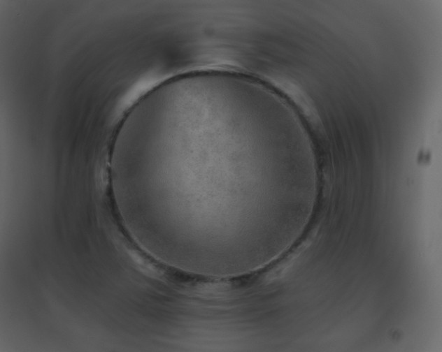 X0000096691363200802051336