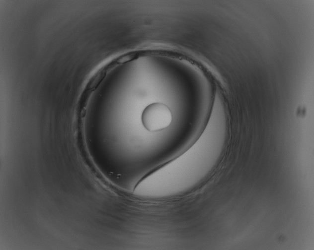 X0000096691364200802051336