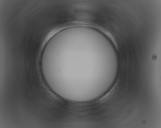 X0000096691365200802051336