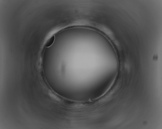 X0000096691366200802051336