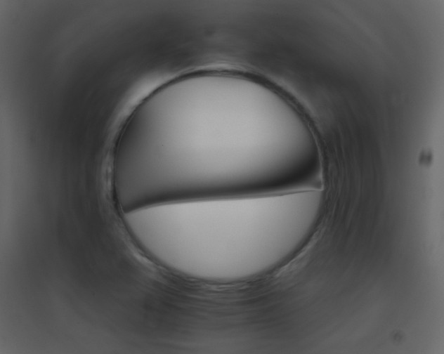 X0000096691367200802051336
