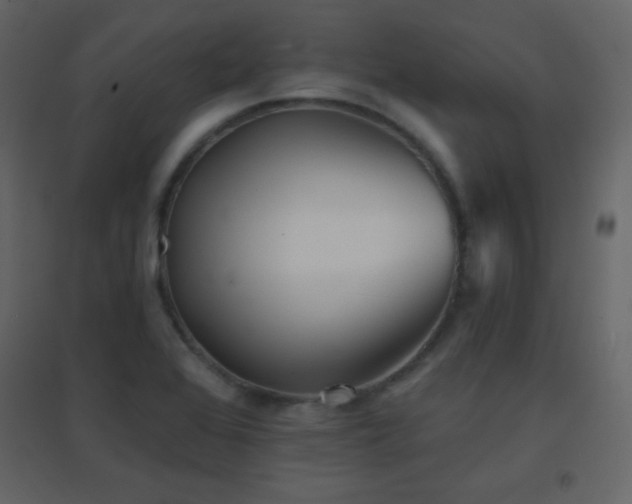 X0000096691368200802051336