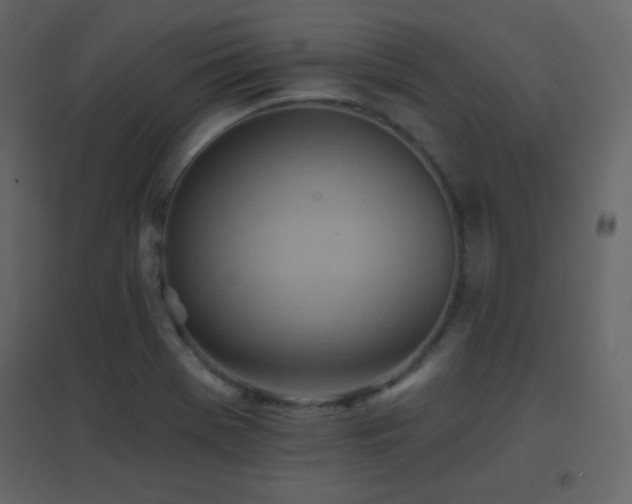 X0000096691369200802051336