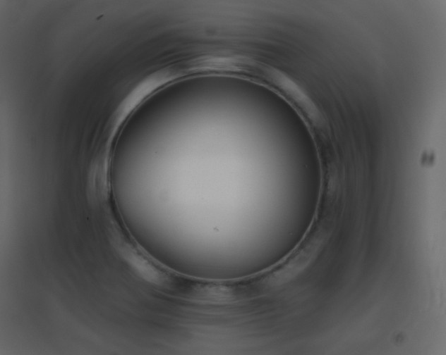 X0000096691370200802051336