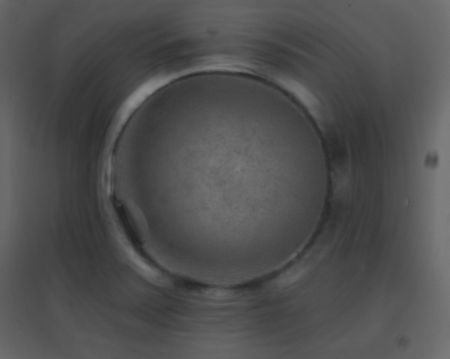 X0000096691371200802051336